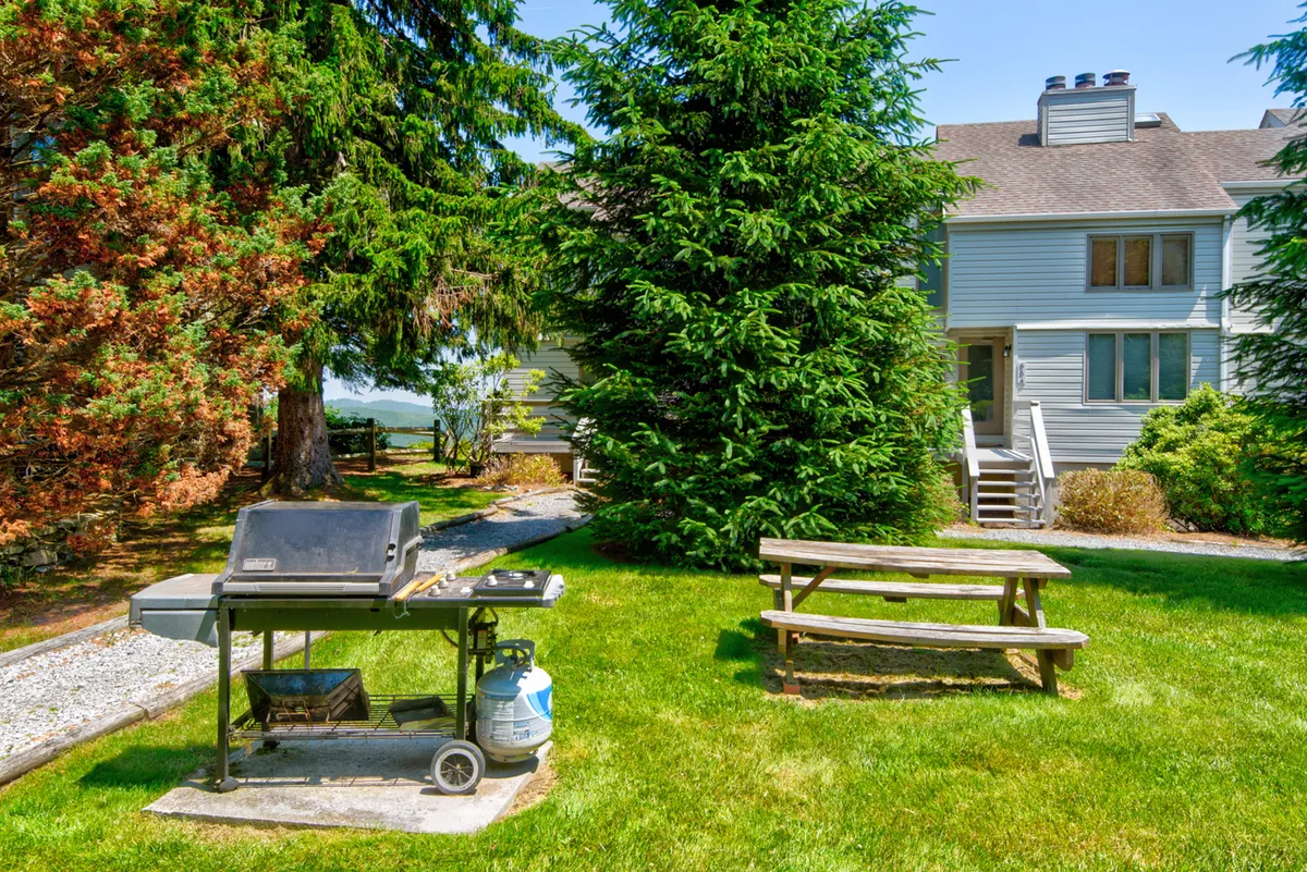 Outside, a grill and picnic table are set against the backdrop of lush greenery and the house’s facade. The scene is lively and friendly, perfect for al fresco dining, barbecues, and enjoying Carolina skies with loved ones.