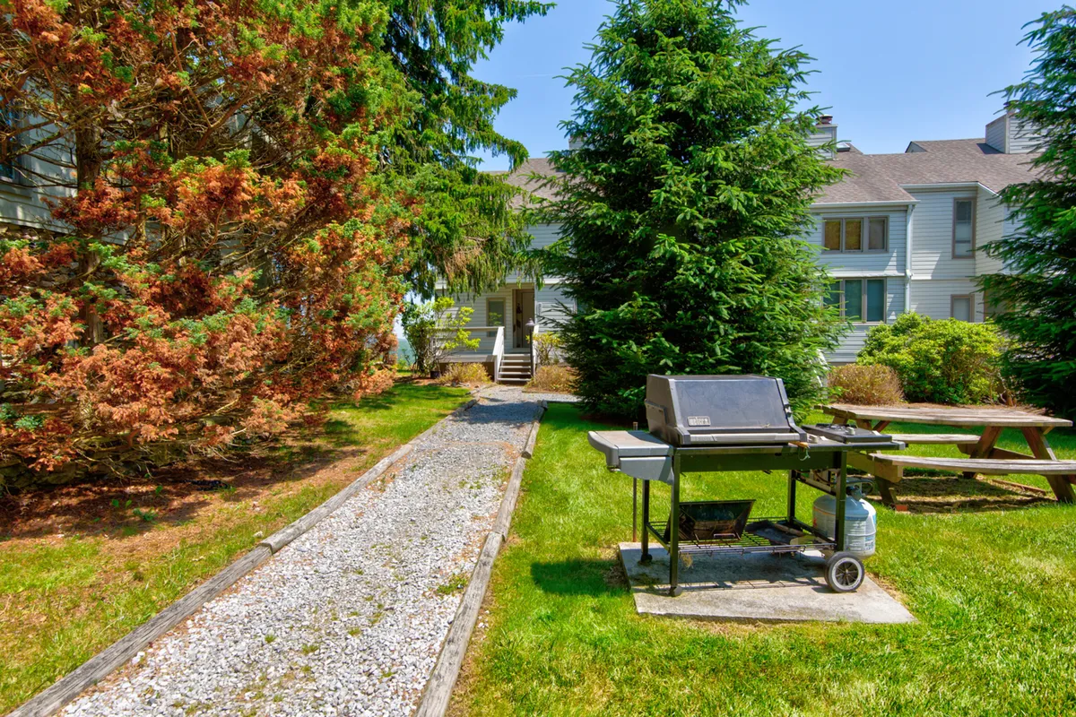 An inviting outdoor area featuring a grill, picnic table, and leafy trees—perfect for casual gatherings, outdoor meals, and children's play.
