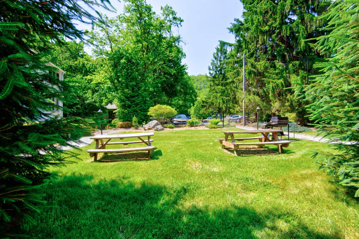 A shared courtyard with inviting picnic tables is surrounded by greenery and walking paths. The scene is tranquil but social, suited for gathering after a day of winter activities to enjoy meals or unwind outdoors.