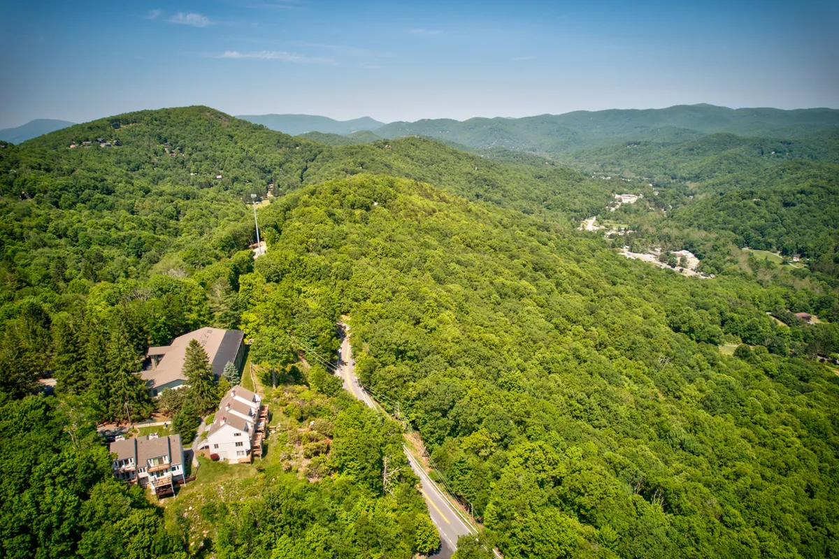 A scenic mountain view featuring a dense green forest, a winding road, and residential buildings nestled in the trees. The expansive vista captures the beauty of the region and its proximity to local attractions.