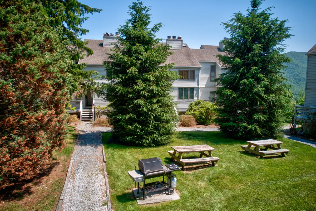 A communal outdoor area with picnic tables, a barbecue grill, lush green lawns, and tall evergreen trees, suggesting a relaxed and friendly environment perfect for post-adventure cookouts or morning coffee in nature.