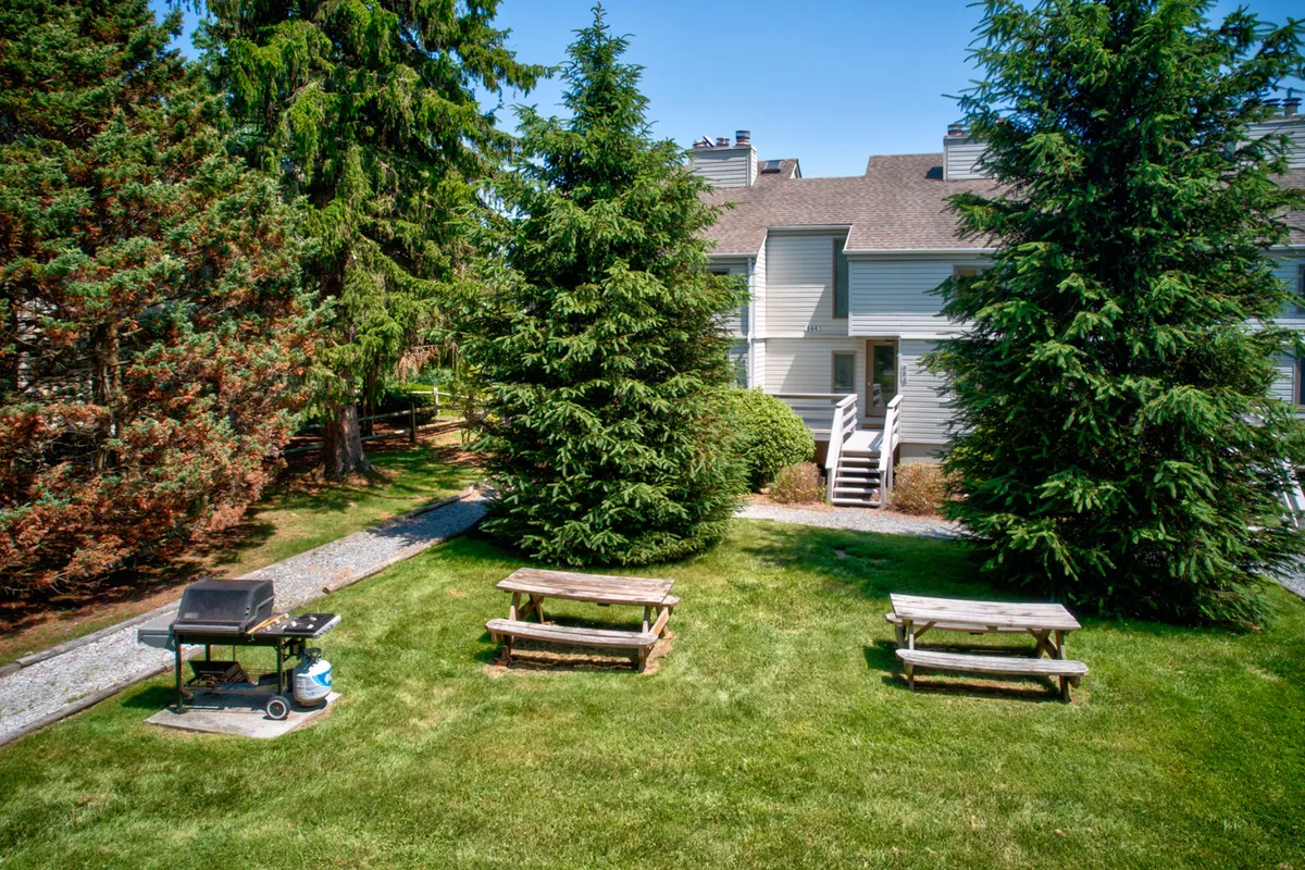 This exterior image features a grill, picnic tables shaded by tall trees, and part of the building's facade. The setting evokes a communal, family-friendly outdoor space ideal for barbecues, picnics, and relaxed gatherings.